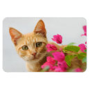 Suche nach rote augen magnete Niedlich