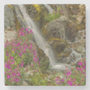 Suche nach moos untersetzer Blume