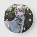 Suche nach hirten wanduhren Gsd