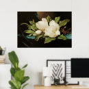 Suche nach weiße magnolien poster Magnolienbaum