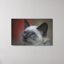 Suche nach genuss leinwandbilder Horizontal