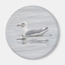 Suche nach möwe magnete Meer
