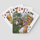 Suche nach dog spielkarten Foto