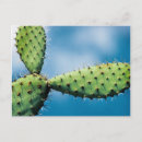 Suche nach prickley poster Botanik