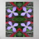 Suche nach clematis poster Blume