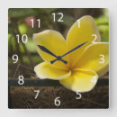 Suche nach plumeria wanduhren Tropical