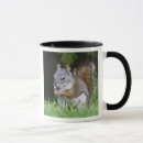 Suche nach rotes eichhörnchen tassen Fauna