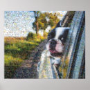Suche nach mosaiken poster Foto