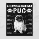 Suche nach liebhaber flyer Mops