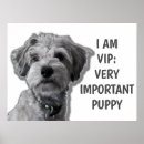 Suche nach vip poster Hund