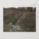 Suche nach bach postkarten Wald