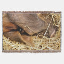 Suche nach schweine decken Niedlich