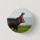 Suche nach nilpferde buttons Tier