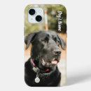 Suche nach labrador foto Welpen