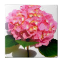 Suche nach hydrangea blume fliesen Rosa