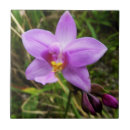 Suche nach orchid fliesen Tropisch