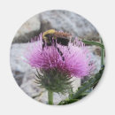 Suche nach hummel magnete Gelb