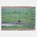 Suche nach amerikanischer bison decken Tier