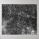 Suche nach krokodil poster Muster