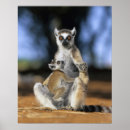 Suche nach lemur poster Endemisch