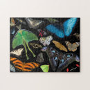 Suche nach motten puzzle Natur