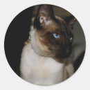 Suche nach freundliche katze aufkleber Haustier