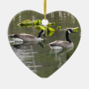 Suche nach wasservogel ornamente Landschaft