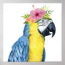 Suche nach papagei poster Vögel