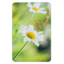 Suche nach wiese magnete Sommer