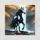 Suche nach schwarze pferde visitenkarten Natur