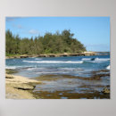 Suche nach hawaii schildkröten poster Bucht