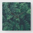 Suche nach farn wanduhren Wald