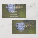 Suche nach krokodile visitenkarten Sumpf