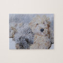 Suche nach gekritzel puzzle Labradoodle