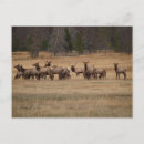 Suche nach harem postkarten Männlich