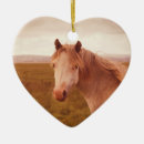 Suche nach wildpferde ornamente Pony