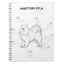 Suche nach lustige anatomie Liebhaber