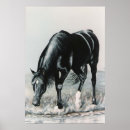 Suche nach arabian horse poster Horses