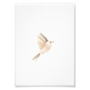 Suche nach wandbild poster Illustration
