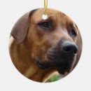 Suche nach rhodesian ridgeback ornamente Hund