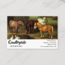 Suche nach weißes pferd visitenkarten Bauer