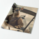 Suche nach vintage flugzeuge geschenkpapier Fliegen