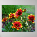 Suche nach watercolor daisy poster Blume