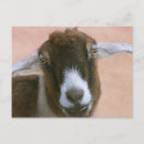 Suche nach lustiger bauernhof postkarten Barnyard