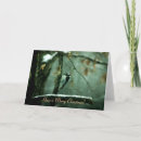 Suche nach specht karten Schnee