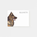 Suche nach deutscher hirte post it Bergerallemand