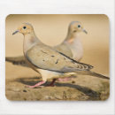 Suche nach lebensraum mousepads Wildtiere