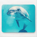 Suche nach niedlicher delphin mousepads Ozean