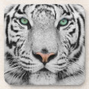 Suche nach weißer tiger untersetzer Groß