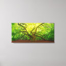 Suche nach charleston leinwandbilder Natur